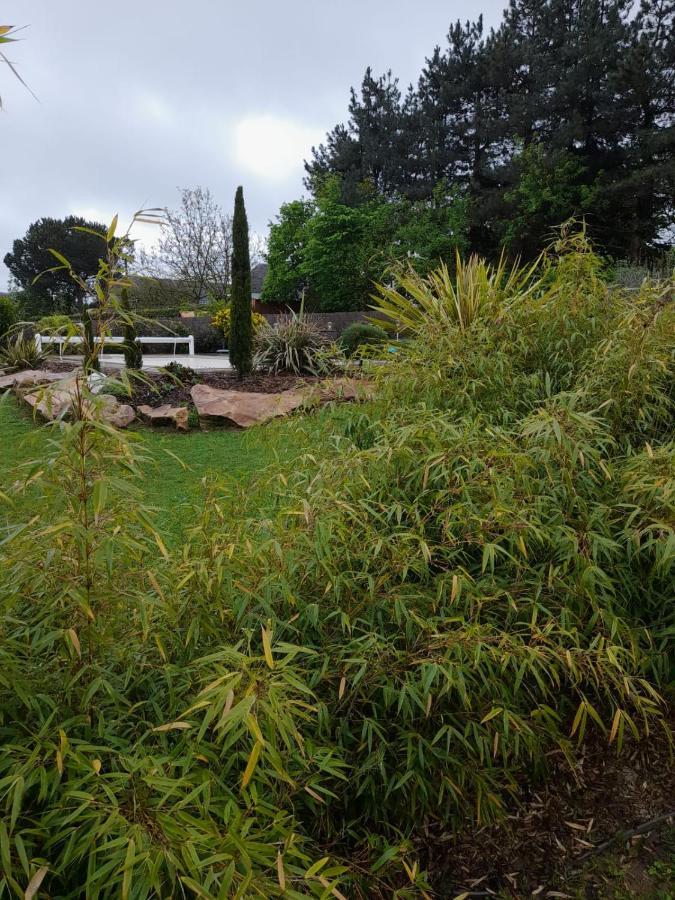 Chambre Dans Un Ecrin De Verdure Angrie Exterior foto